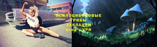 стафф Алзамай