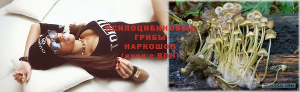 стафф Алзамай