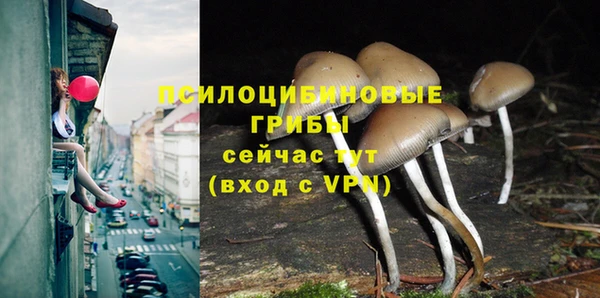 стафф Алзамай