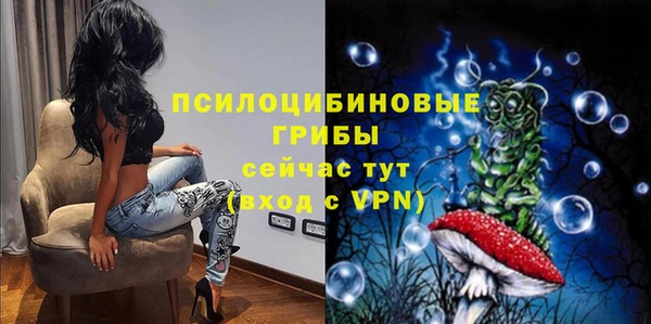 ПСИЛОЦИБИНОВЫЕ ГРИБЫ Алексин