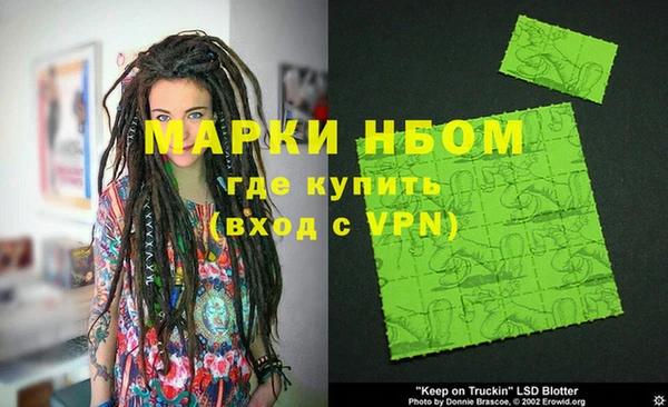 стафф Алзамай