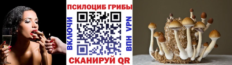 Галлюциногенные грибы Magic Shrooms  Апрелевка 